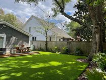 The Coming of Age of Grass: Artificial Turf’s Story in Toronto